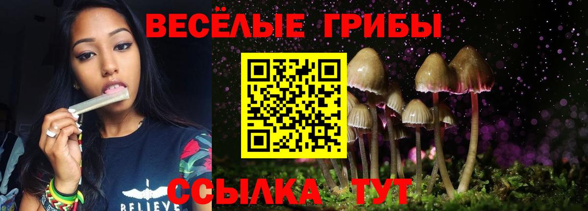 купить наркотики цена  Вход с VPN  Петровск  Галлюциногенные грибы Magic Shrooms 